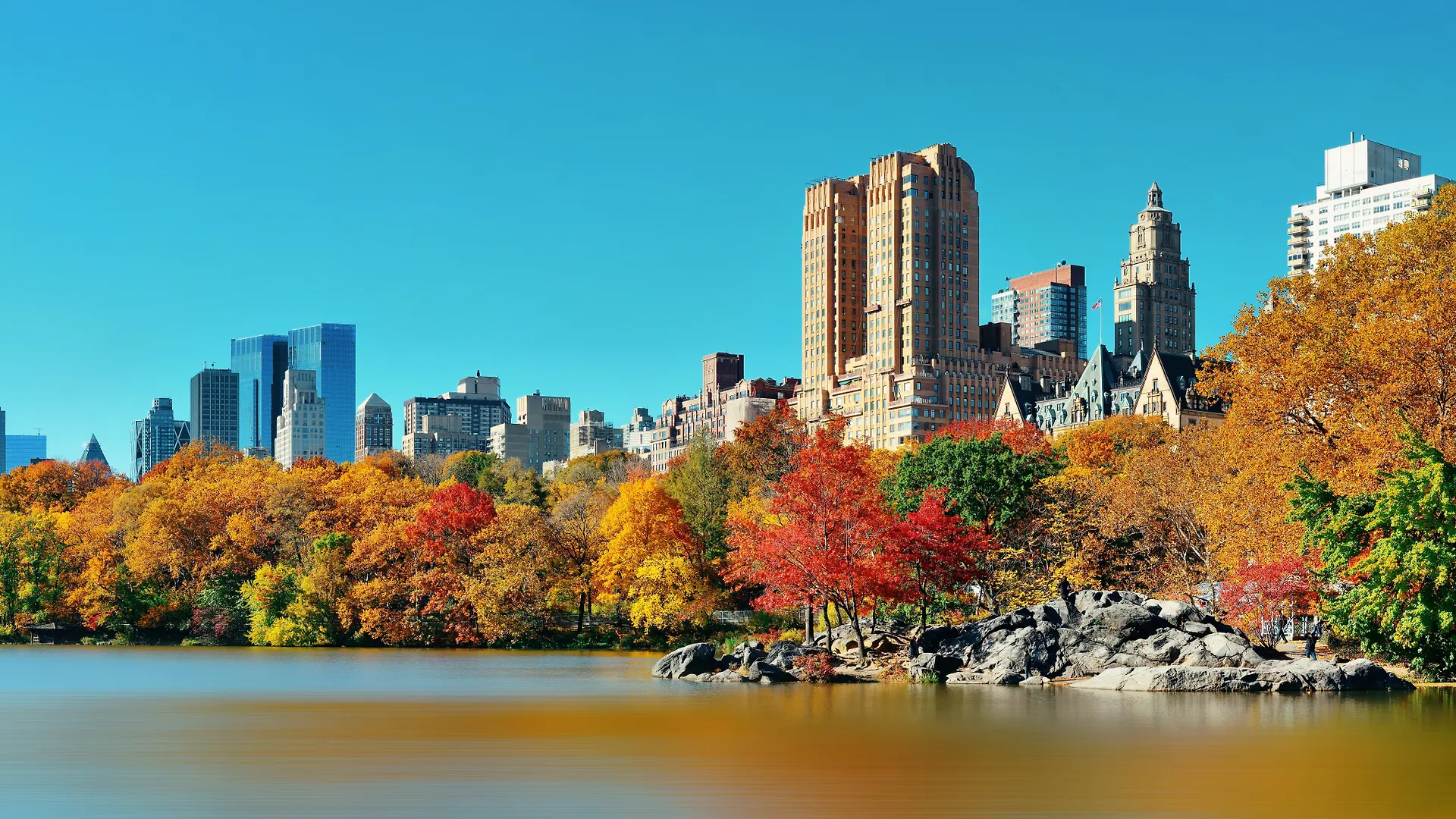 Kimpton Hotel Eventi By Ihg New York